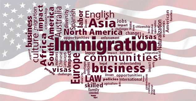 Immigration Lawyer